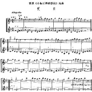 小提琴谱 | 霍曼 小提琴基础教程 选曲 夏日 二重奏