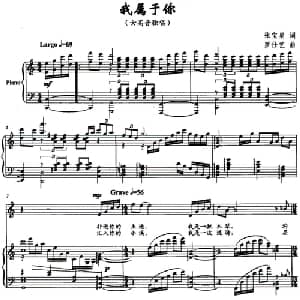 我属于你_美声唱法乐谱_词曲:张宝星 罗仕艺