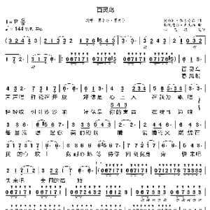 百灵鸟_歌曲简谱_词曲:买力凯 孜牙吾东 斯坎德尔 赛夫拉