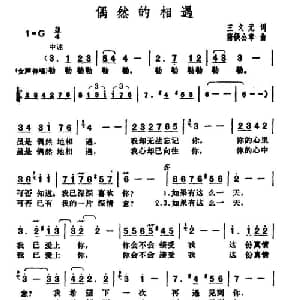 偶然的相遇_通俗唱法乐谱_词曲:王文元 猪俁公章