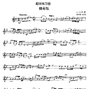 趣味练习曲 绣荷包