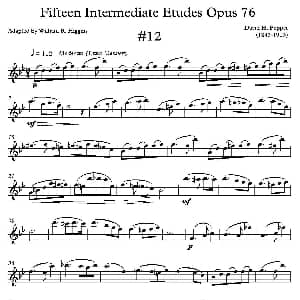 萨克斯谱 | 中级练习曲15首 Op76 12 D 波帕尔