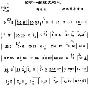 都有一颗洪亮的心 柳琴谱
