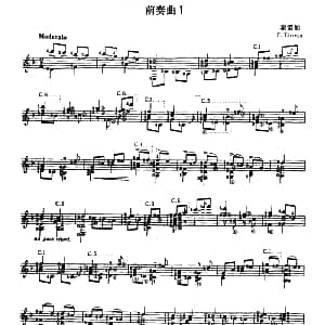 泰雷加的十二首前奏曲 吉他谱