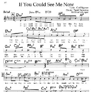 If You Could See Me Now_外国歌谱
