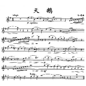 长笛曲谱 | 天鹅 圣桑