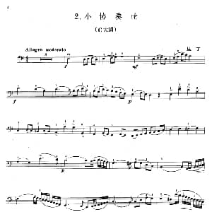 里丁小协奏曲 C大调 大提琴 里丁