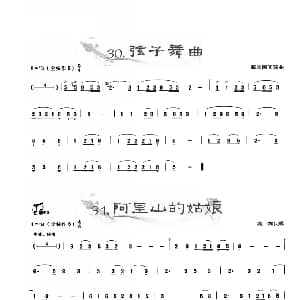 葫芦丝谱 | 葫芦丝曲精选 现在舞曲 阿里山的姑娘 王甲坤 王甲华编著