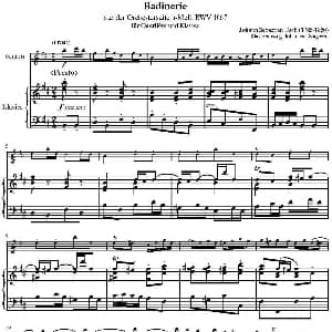 长笛曲谱 | Badinerie 长笛 钢琴伴奏 巴赫