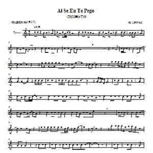 Ai Se Eu Te Pego 假如我捕获了你_歌曲简谱