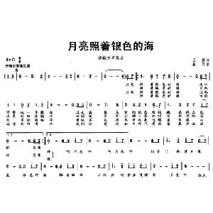 月亮照着银色的海_通俗唱法乐谱_词曲:王磊 崔丹