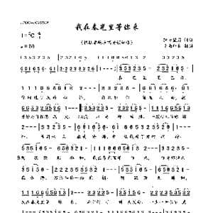 我在春光里等你来_歌曲简谱_词曲:轻云望月 轻云望月