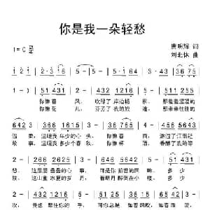 你是我一朵轻愁_通俗唱法乐谱_词曲:唐明辉 刘北休