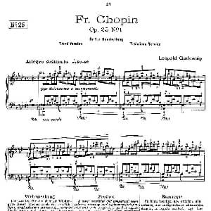 肖邦 练习曲 Fr.Chopin Op.25 No1 3 钢琴谱 Godowsky改编