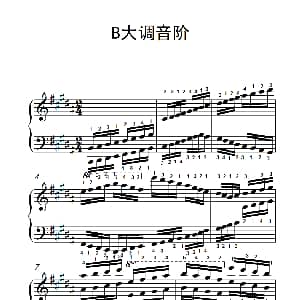 第九级19.B大调音阶 钢琴谱