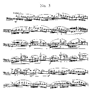 戴维波帕尔高级大提琴练习曲No3