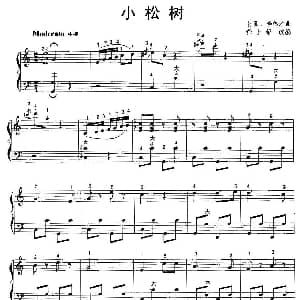 手风琴谱 | 小松树 任士荣 改编