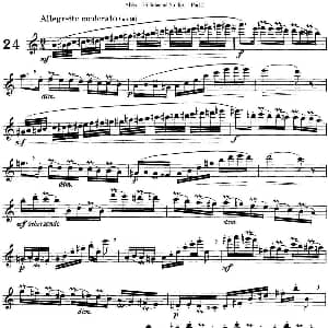 长笛曲谱 | 阿尔泰斯26首精选长笛练习曲 NO.24 Altes 阿尔泰斯