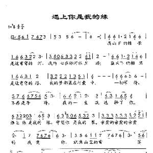 遇上你是我的缘_歌谱投稿