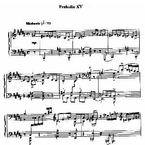 24 Preludes and Fugues Op.82 钢琴谱 尼古拉 凯帕斯汀