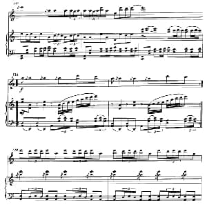 笛子谱 | 飞歌 笛子协奏曲 钢琴伴奏 P11—2