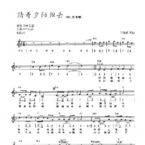 电子琴谱 | 踏着夕阳归去 线简混排弹唱谱 叶佳修 叶佳修