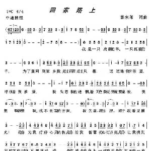 回家路上_通俗唱法乐谱_词曲:泰来郎 泰来郎