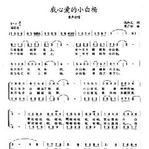我心爱的小白杨_民歌简谱_词曲:倪和文 商广树