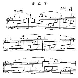含羞草 钢琴谱 刘家昌作曲 许民改编