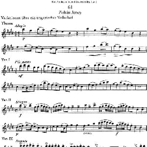 长笛曲谱 | 斯勒新老风格长笛练习重奏曲 第一部分 NO.61 NO.63 Siegfried Thiele S. 斯勒