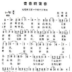 青春啊青春_通俗唱法乐谱_词曲:凯传 王酩
