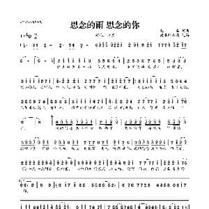 思念的雨 思念的你_歌曲简谱_词曲:赵真 赵真