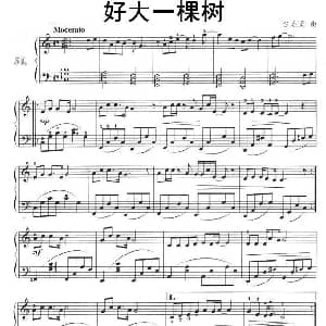 好大一棵树 钢琴谱 伍嘉冀