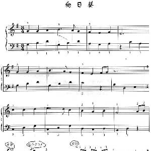 电子琴谱 | 向日葵