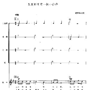 田野里有一株小白桦 儿童节奏乐队用曲 俄罗斯民歌