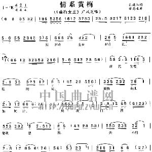 黄梅戏谱 | 情系黄梅 黄梅女王 选曲 严凤英 余雍和 徐高生