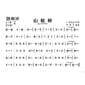 山楂树_歌谱投稿_词曲: 叶.罗代金