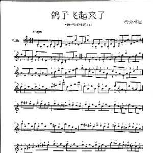鸽子飞起来了_歌曲简谱_词曲: 杨会林