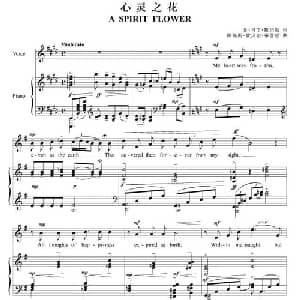 心灵之花 美国 _外国歌谱