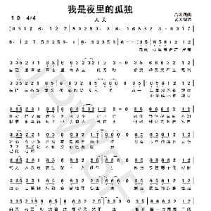 我是夜里的孤独_歌曲简谱_词曲:音决 音决