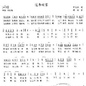 过年回家_民歌简谱_词曲:尹文昌 桑雨