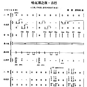 哈瓦那之夜・古巴 二胡 手风琴 吉他和弦击乐组合 谭勇 席玲玲