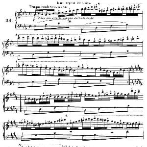 Czerny 40 Daily Exerci Op.337 钢琴谱 Czerny 车尔尼