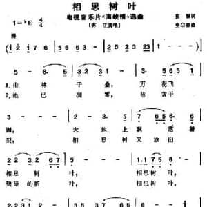 相思树叶_民歌简谱_词曲:张藜 史宗毅