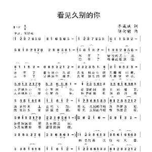 看见久别的你_歌曲简谱_词曲:李成斌 储向前
