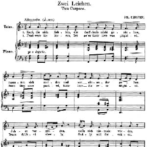 Chopin 17 Polish Songs Op.74,No.11_外国歌谱_词曲: 弗雷德里克 弗朗索瓦 肖邦