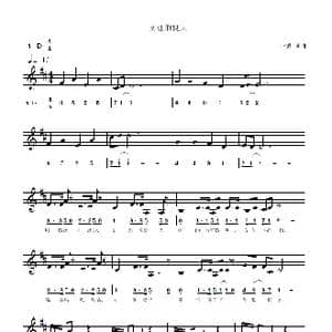 文理的夏天_歌曲简谱_词曲:小镇 小镇