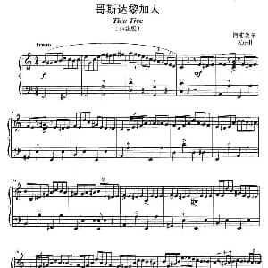 手风琴谱 | 哥斯达黎加人 阿布莱尔