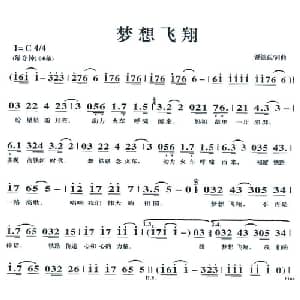 梦想飞翔_通俗唱法乐谱_词曲:谢铁跃 谢铁跃