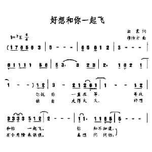 好想和你一起飞_通俗唱法乐谱_词曲:云裳 穆传方